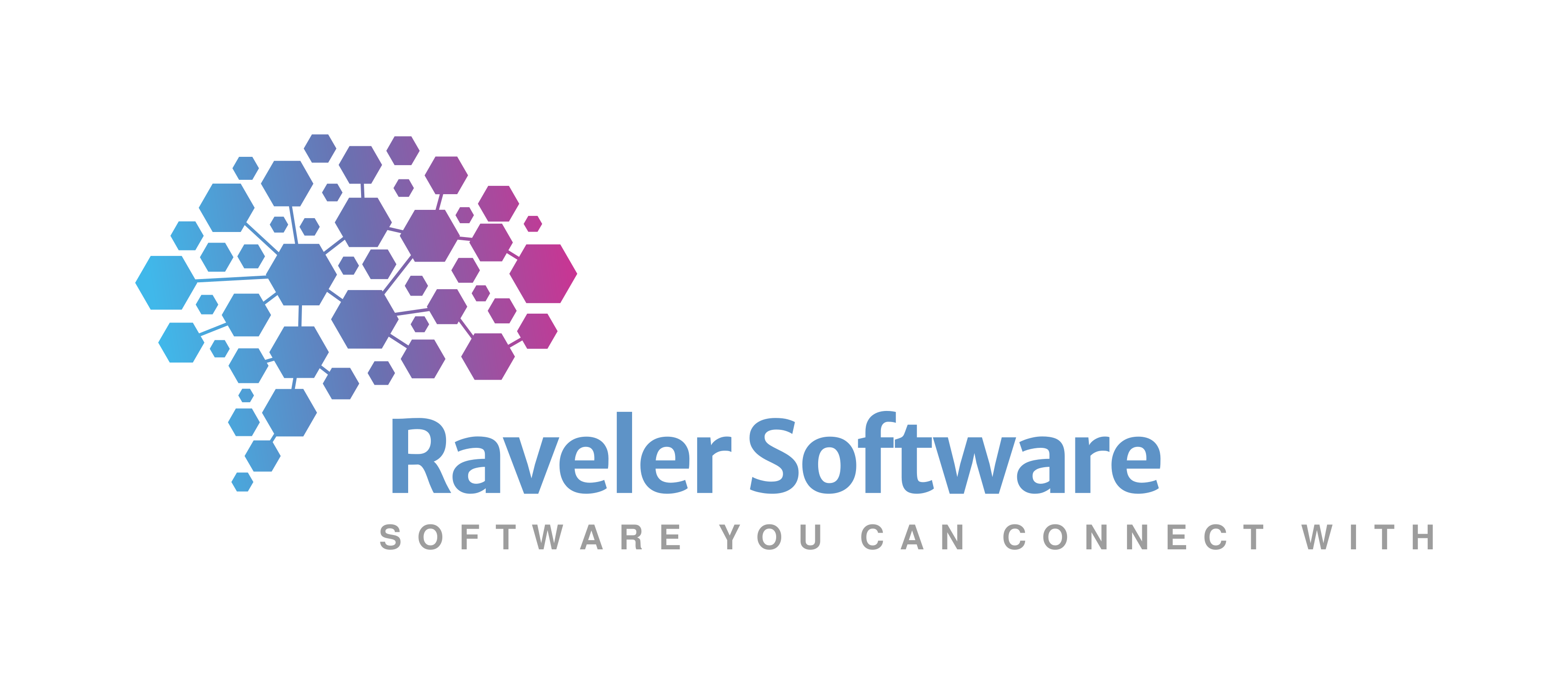 Raveler Software